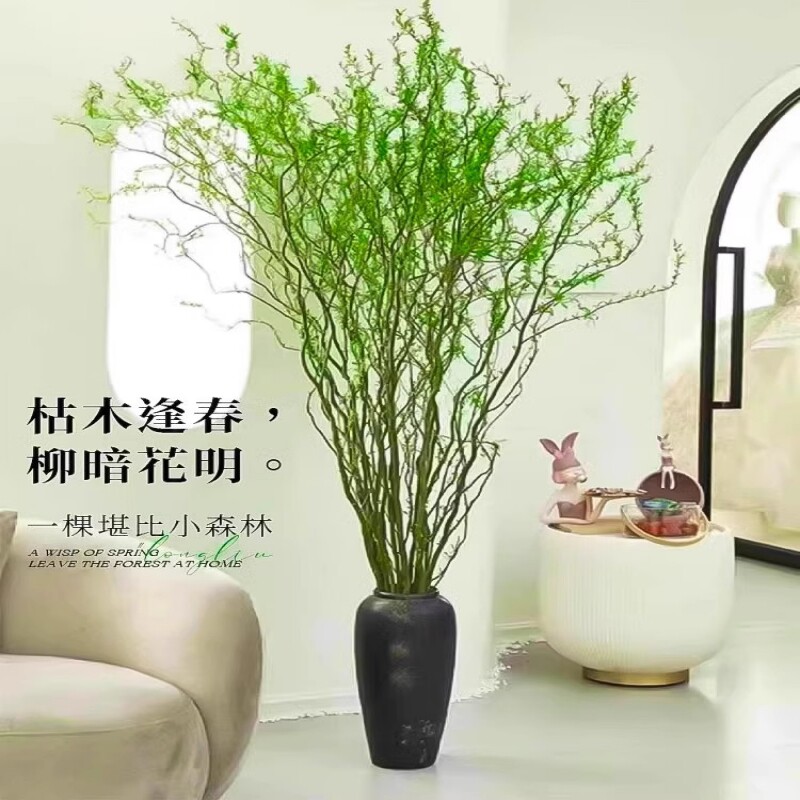 龙柳鲜枝富贵竹客厅水培植物花卉室内盆栽四季好养活水培干支雪柳