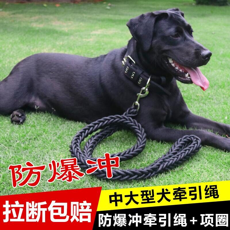 狗狗牵引绳大中型犬遛狗绳子金毛拉布拉多德牧狗炼子项圈宠物用品