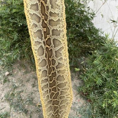 越胡专用小蟒皮高胡二胡蟒蛇皮越胡蟒皮越剧主胡蒙皮乐器材料整条