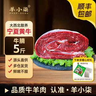 羊小柒宁夏盐滩草场黄牛肉生新鲜原切牛肉牛腩炖煮清真食材