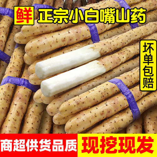 正宗现挖小白嘴山药5斤