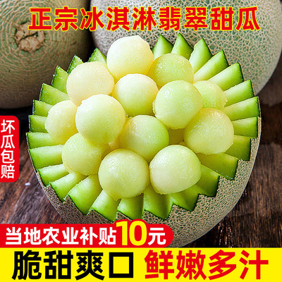 海南网纹蜜瓜5-9斤当季新鲜水果