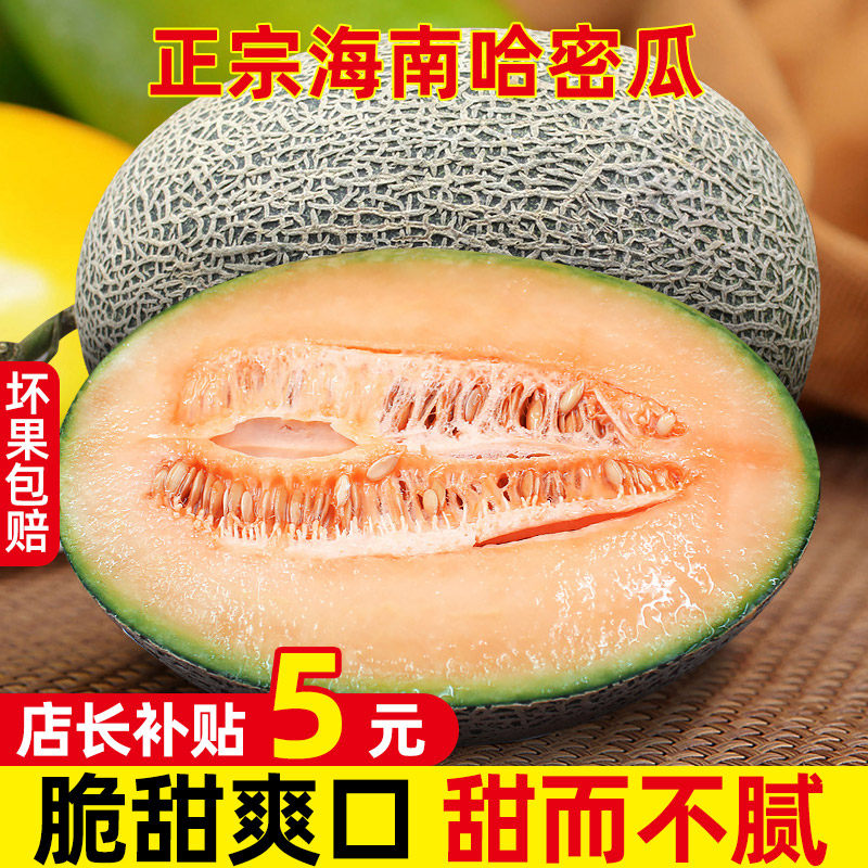 山东网纹哈蜜瓜5-9斤新鲜水果当季冰淇淋哈密瓜玫珑海阳蜜瓜甜瓜