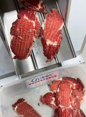 酱香腌制牛肉断筋嫩化松肉机猪扒牛扒羊扒鸡扒肉类断筋带刀松肉机