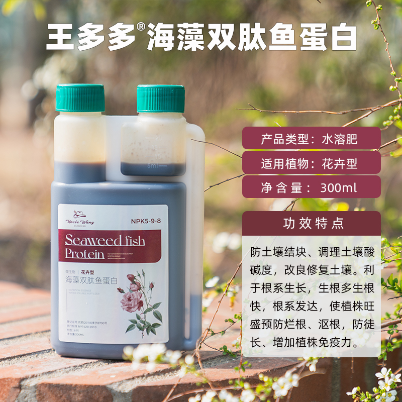 蝴蝶兰爆花量延长花期双肽鱼蛋白营养液花卉通用型有机氨基酸花肥