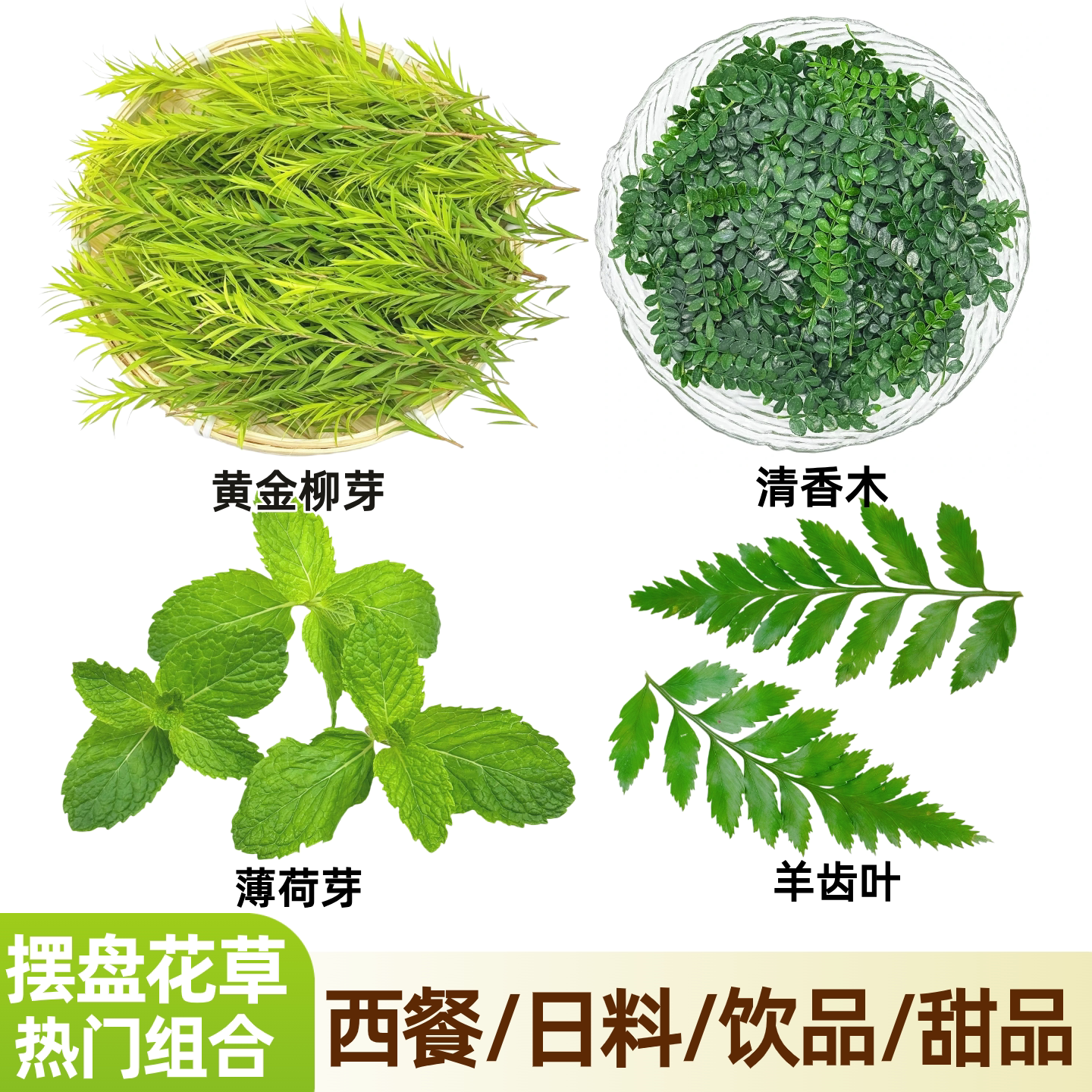 热门花草组合清香木薄荷羊齿叶柳芽西餐日料甜品饮品摆盘装饰鲜叶