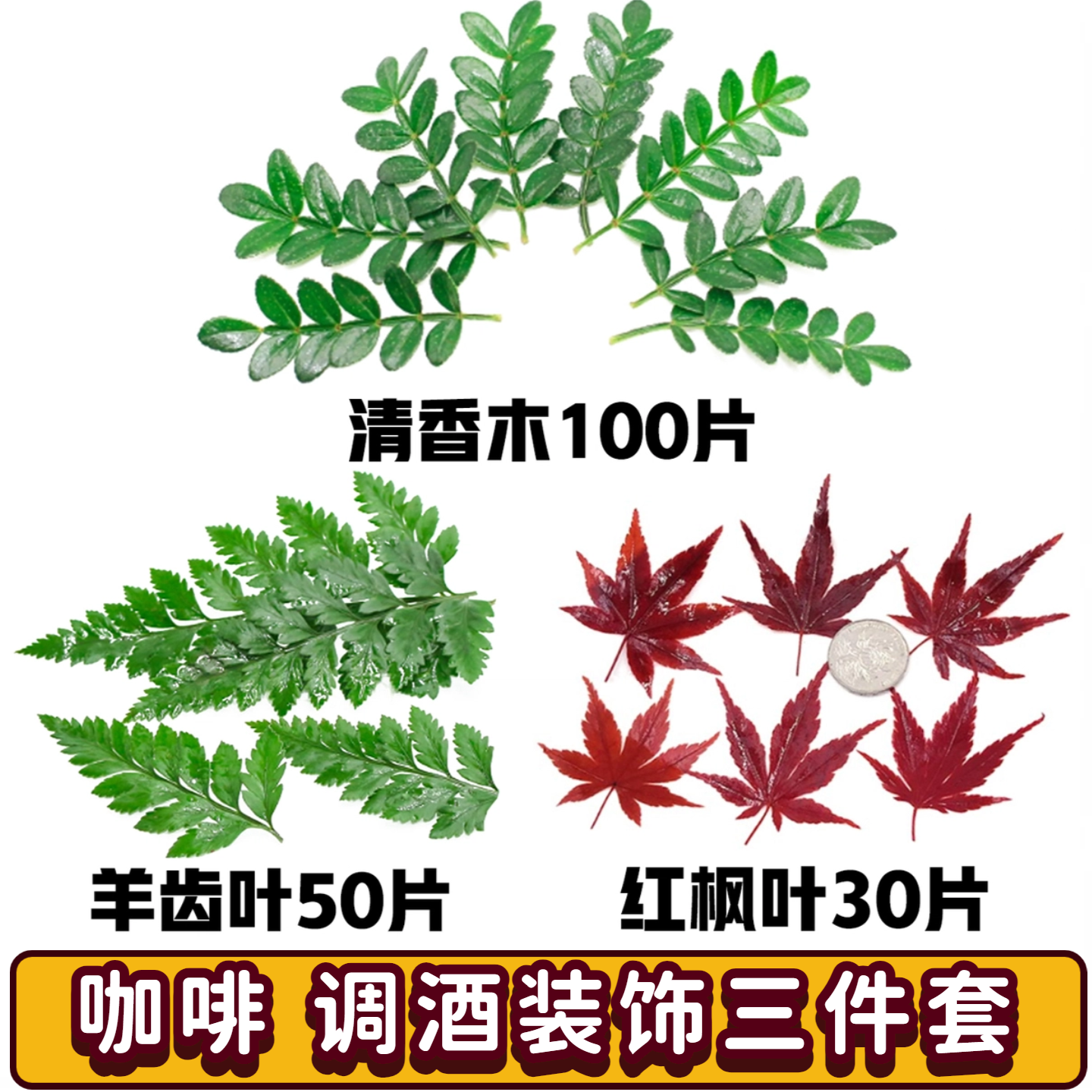秋季咖啡鸡尾酒调酒摆盘装饰点缀组合套餐红枫叶清香木叶子羊齿叶
