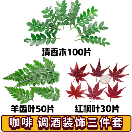 秋季咖啡鸡尾酒调酒摆盘装饰点缀组合套餐红枫叶清香木叶子羊齿叶
