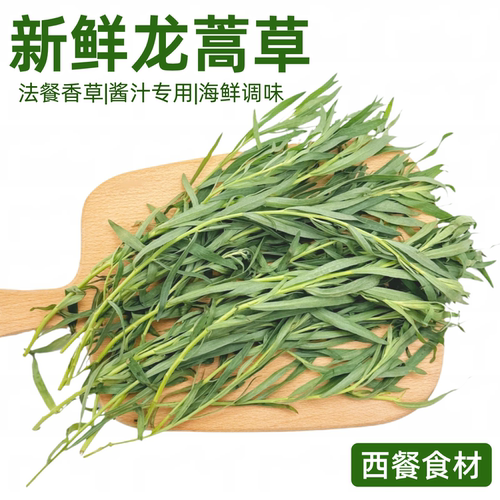 新鲜龙蒿草Tarragon他拉根香草法式西餐香料菜酱汁调味海鲜去腥