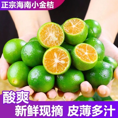 新鲜海南小金桔小青桔子青柠酸爽椰子鸡配料调味柠檬奶茶商用水果