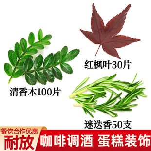 新鲜真空红枫叶咖啡栗子蛋糕烘焙调酒鸡尾酒装 饰叶子网红摆盘花草