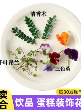 网红烘焙咖啡摆盘花草食用三色堇饮品千叶吊兰蛋糕装饰清香木叶子