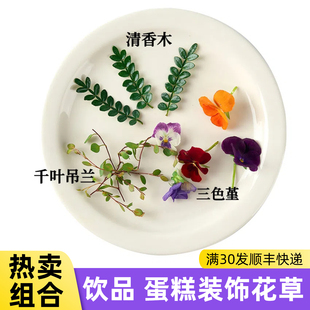 网红烘焙咖啡摆盘花草食用三色堇饮品千叶吊兰蛋糕装饰清香木叶子