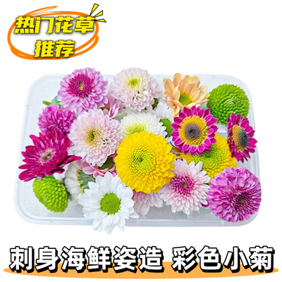 刺身海鲜姿造摆盘装饰彩色小菊酒店宴席冷菜点缀蛋糕烘焙鸡尾酒