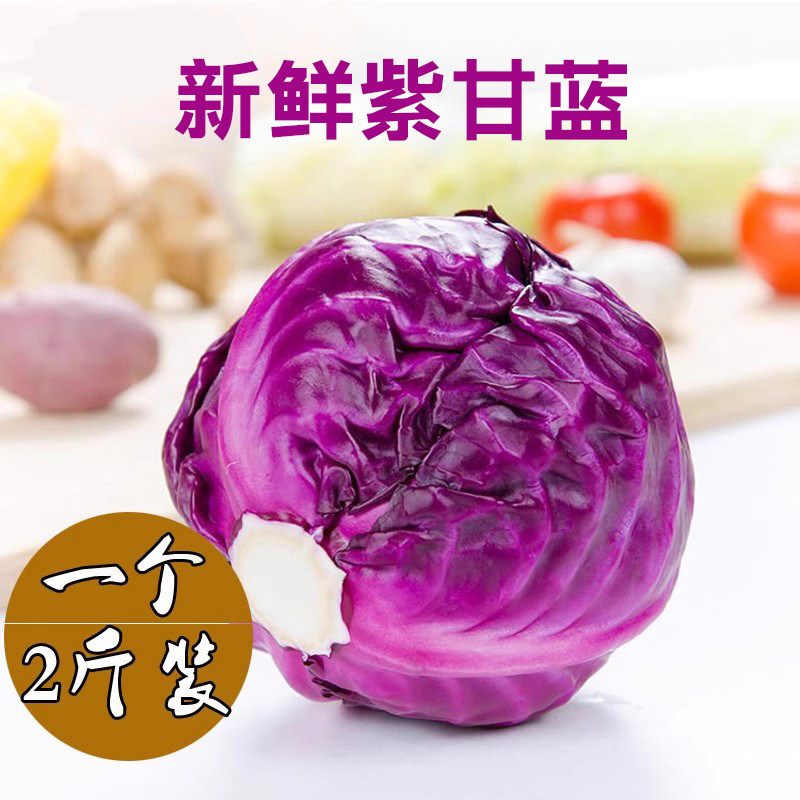 新鲜紫甘蓝卷心菜紫包菜1000g紫色球生菜蔬菜沙拉轻食简餐紫甘蓝