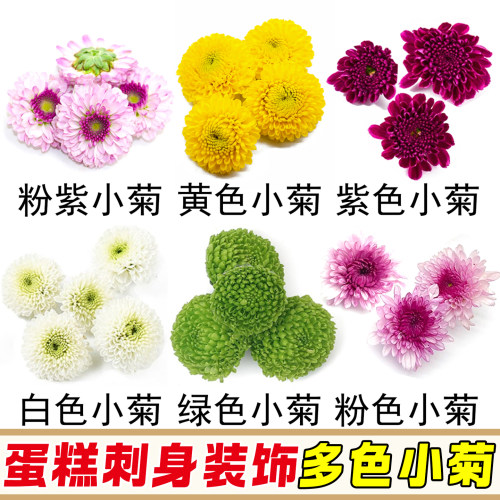 刺身日料三文鱼海鲜摆盘装饰小菊造型盘饰蛋糕调酒多色小雏菊摆件