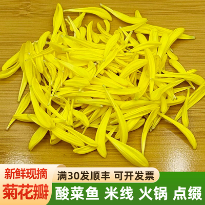 新鲜菊花瓣盒装非干货