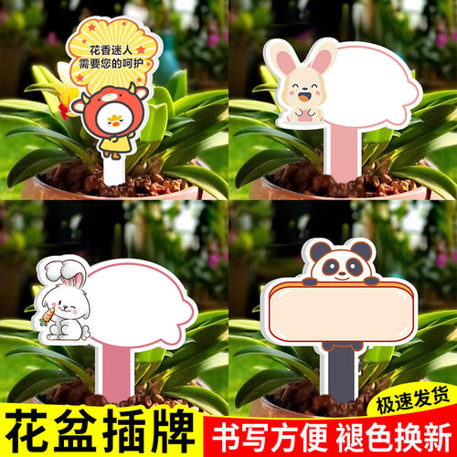 晋呈幼儿园植物标签插牌