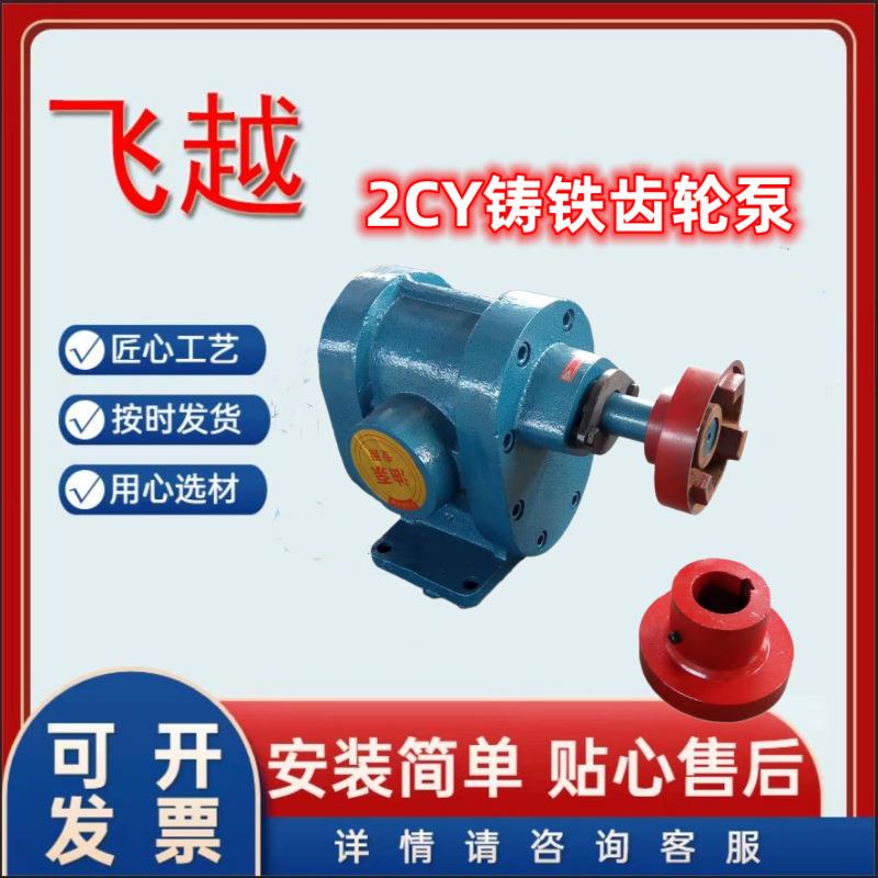铸铁材质柴油齿轮泵2CY-3/2.5电动卧式铸铁输油泊头油泵