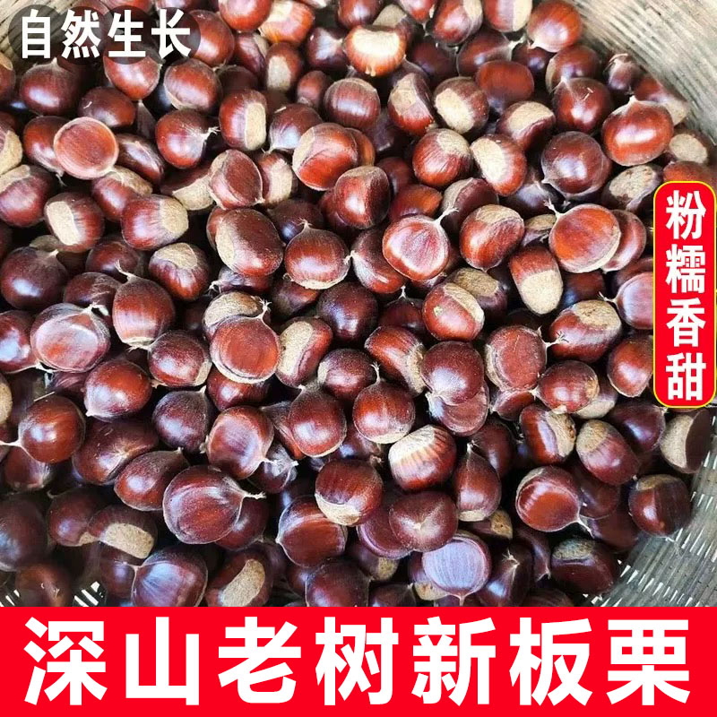 2026年现摘云南板栗生新鲜栗子正宗生板栗大油栗子唐山野生毛栗子