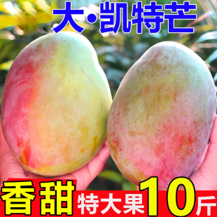 攀枝花凯特芒果10斤水果新鲜当季整箱包邮四川忙果甜青皮大澳芒果