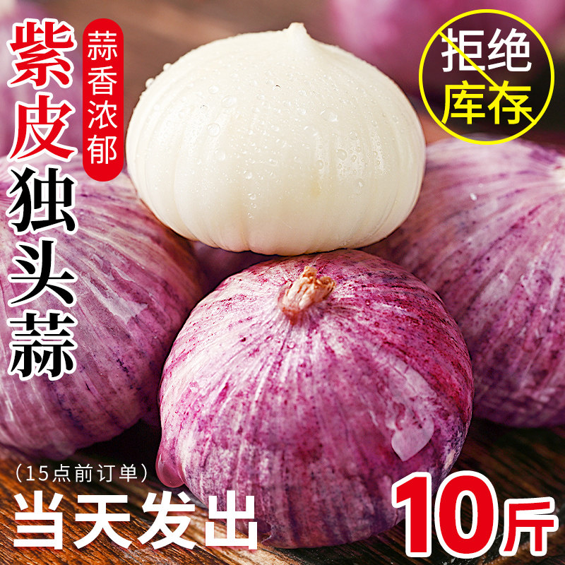 2025云南独头蒜干大蒜头新鲜干蒜紫皮圆头独蒜红辣蒜5斤蔬菜当季_虎窝淘