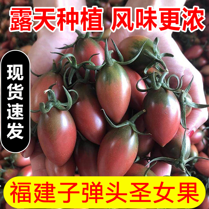 子弹头迷彩小番茄应当季现摘新鲜水果圣女果紫葡萄小西红柿脆甜,水产肉类/新鲜蔬果/熟食,番茄,淘宝优惠券,粉丝福利购,淘宝优惠卷