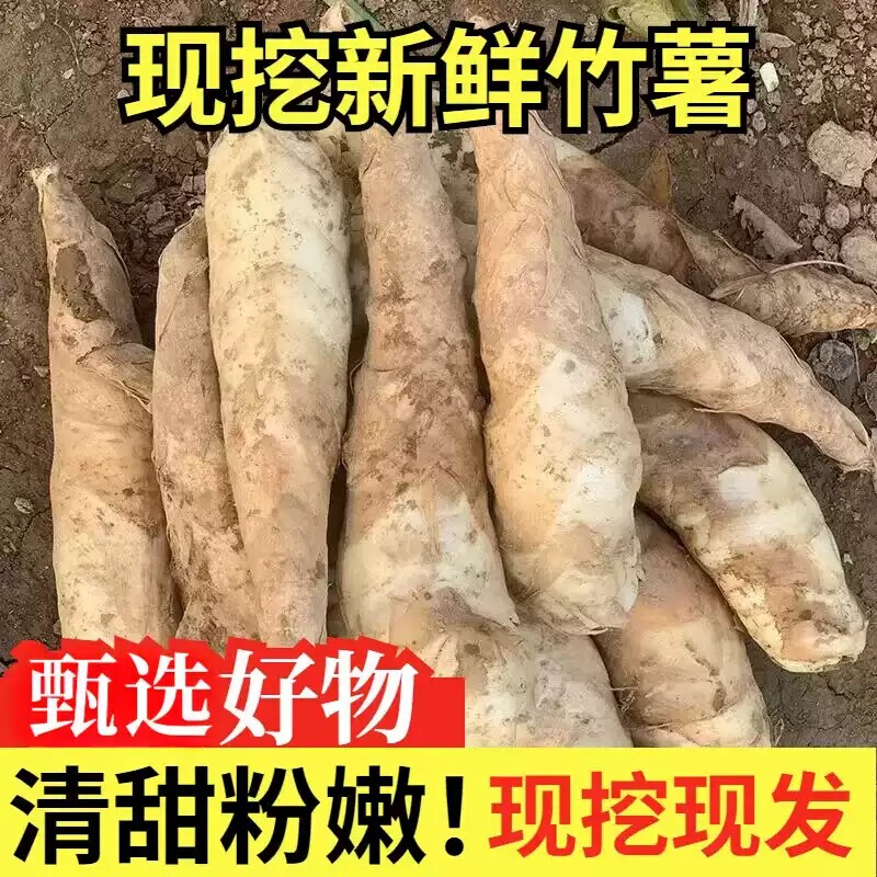 高州新鲜竹薯香煎竹薯竹芋带皮冬粉薯 1斤2斤5斤火锅食材