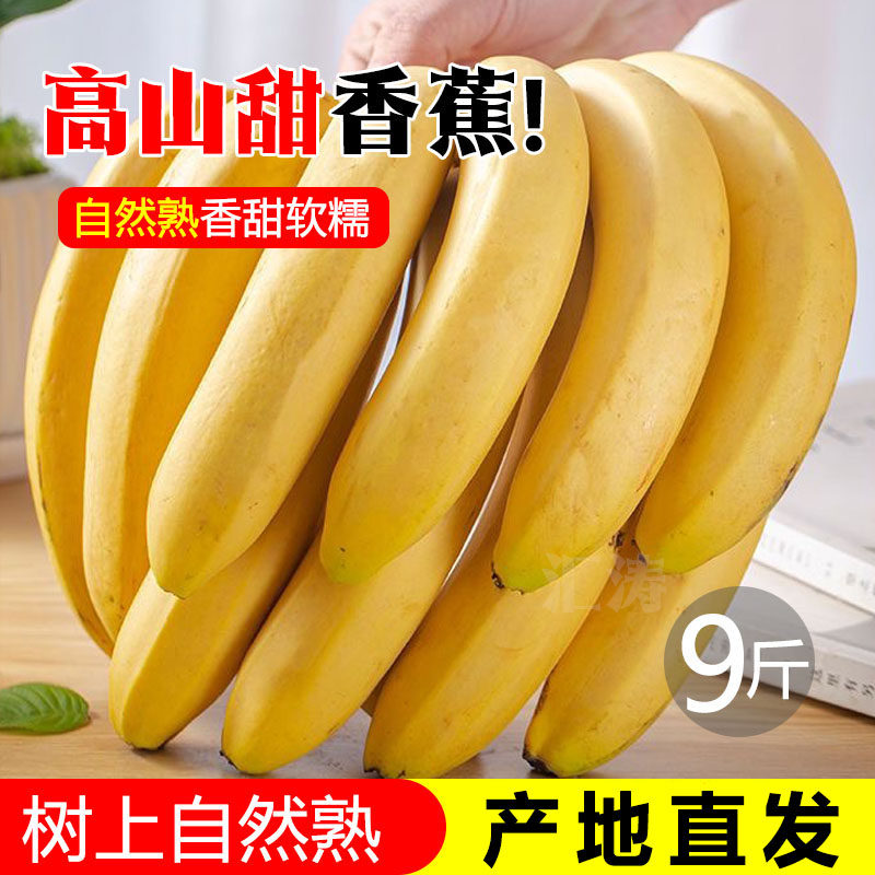 广西高山香蕉新鲜威廉斯香蕉当季新鲜水果薄皮自然催熟整箱包邮10