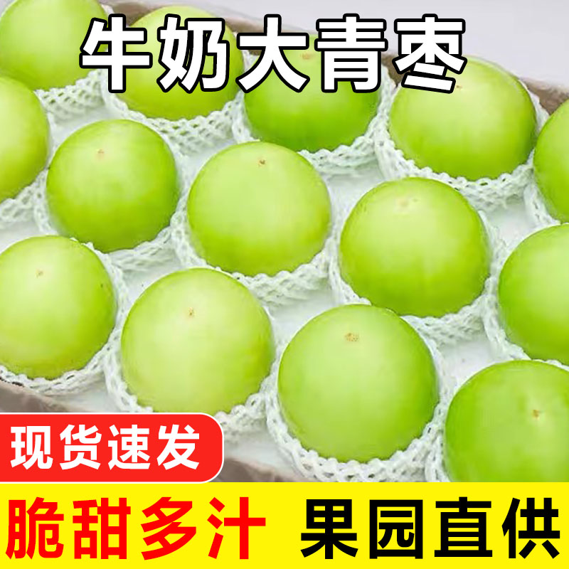 现摘牛奶大青枣新鲜水果应当季时令贵妃蜜枣脆甜苹果枣子整箱包邮