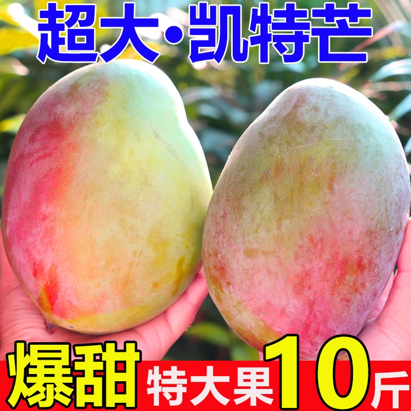攀枝花凯特芒果10斤水果新鲜当季整箱包邮四川忙果甜青皮大澳芒果