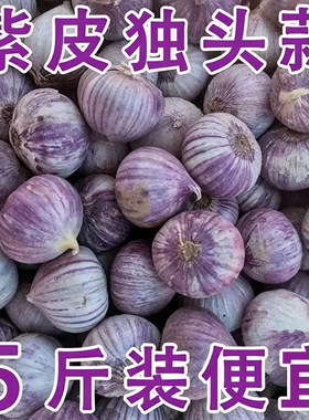 2026年农家紫皮独头蒜红皮鲜蒜独蒜新大蒜新鲜现挖湿蒜蔬菜干蒜