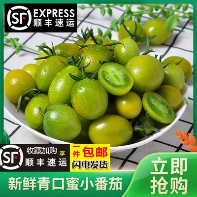 青口蜜圣女果绿色青甜2号小番茄新鲜绿千禧即食小柿子生吃顺丰