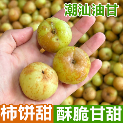 潮汕油柑果新鲜崩坎油甘果余甘子牛甘果滇橄榄甜种柿饼甜油柑现摘