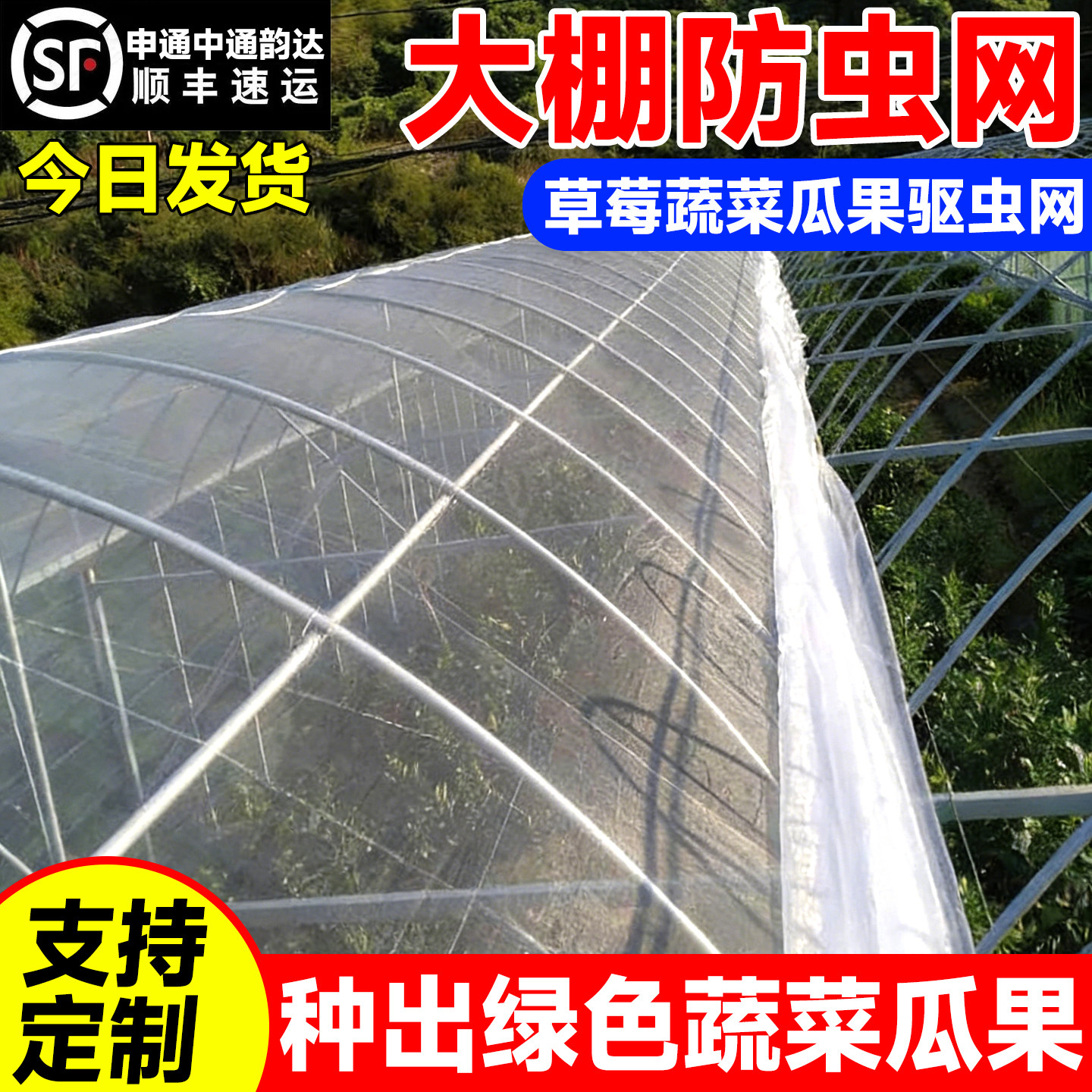 大棚防虫网农用蔬菜盖菜菜园防虫网新型果树网罩菜地专用加厚纱网,农机/农具/农膜,农用防虫网,淘宝优惠券,粉丝福利购,淘宝优惠卷
