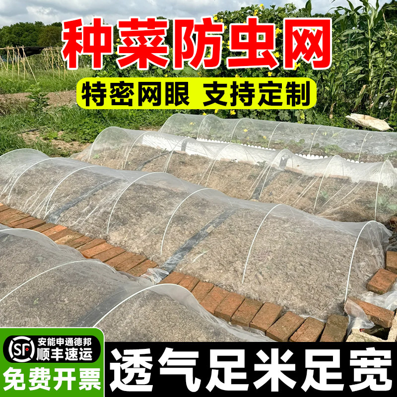 种菜防虫网菜地专用加厚纱网樱桃防鸟罩新型大棚蔬菜农用果树网罩,农机/农具/农膜,农用防虫网,淘宝优惠券,粉丝福利购,淘宝优惠卷