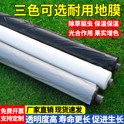 除草农用地膜蔬菜草莓西瓜西红柿