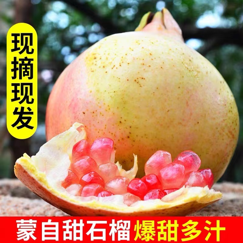 现货云南蒙自甜石榴沙地老树汁多新鲜孕妇水果现摘当季时令整箱