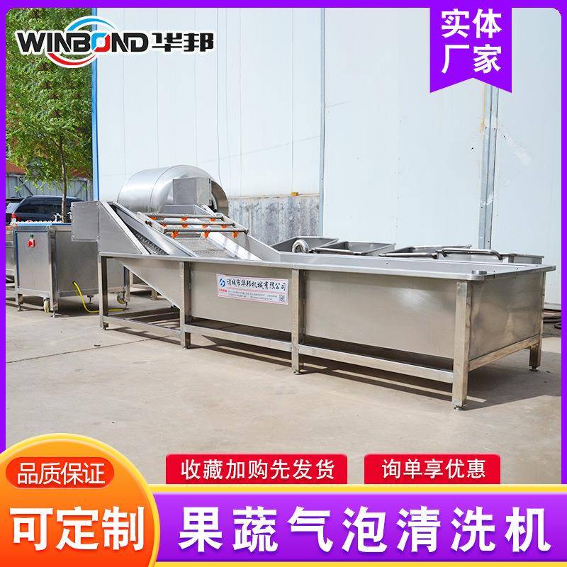 水果菜ALG气泡清洗机大 型水不锈钢洗菜机 净菜加工清洗流蔬线