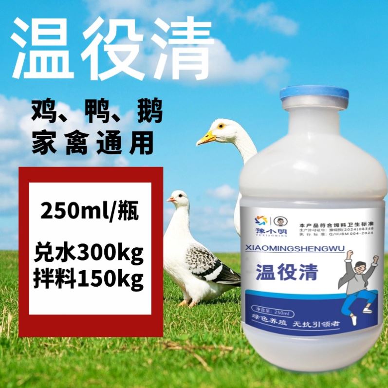 温役清正品温立清养鸡专用鸡用呼噜鸡张嘴呼吸鸡鸭鹅鸽禽类