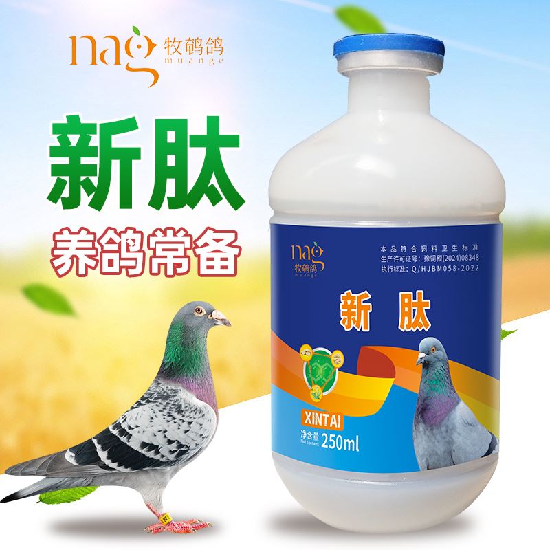 鸽子新肽鸽子水便绿便鸽子新肽新肽鸽用新肽鸽用赛鸽甩拉吐水绿便