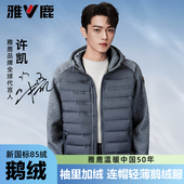 户外连帽休闲冬季 2024秋冬新款 外套男 轻薄短款 雅鹿鹅绒羽绒服男款