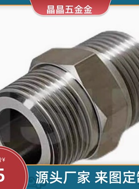 SGPNRJ/10A接头XZQ51-XZJ06/01-01/0202/03/0404/06/08不锈钢外丝