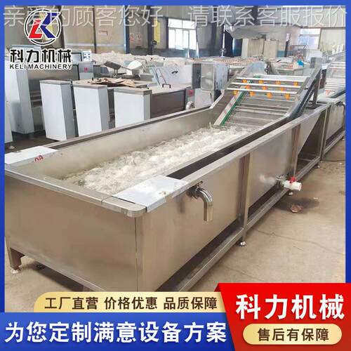 水果蔬菜气泡清洗机 橙子自动清洗机 橘子柠檬气泡清洗机