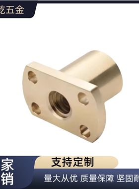 MTSFR MTSFL 8 10 12 14 16 18 20 22 25 28 32 36 40 50丝杆螺母