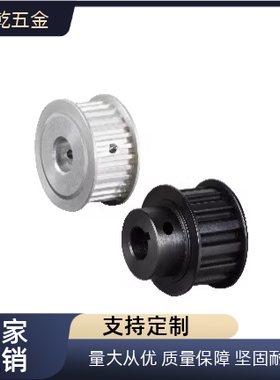 同步轮TTPA22 TTPK32/TTPP18/TTPM20/24/25/28/30/T10/150/200/30