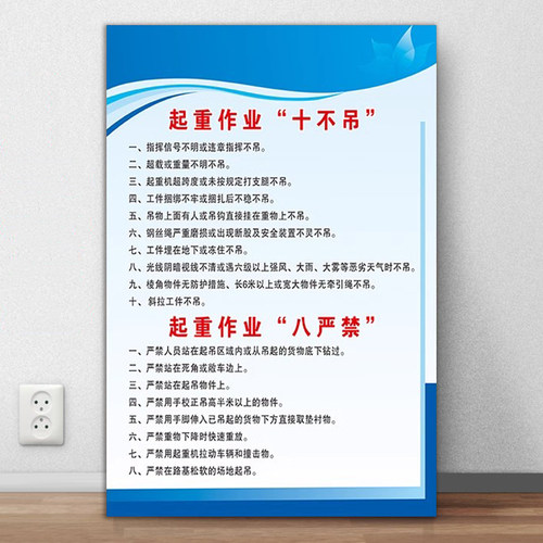 起重作业十不吊警示牌八严禁塔吊使用告知牌施工现场安全操作警示牌塔吊安全操作规程验收合格工地信息验收牌