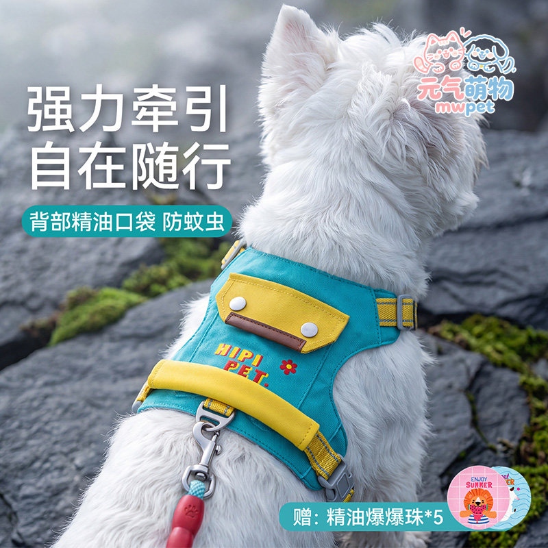边牧胸背工字型牵引绳图片