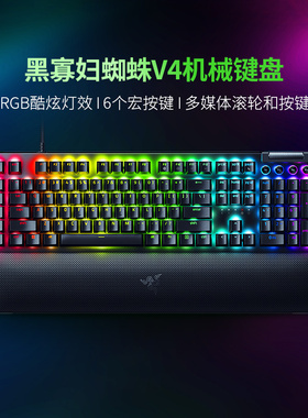 Razer雷蛇黑寡妇蜘蛛V4电竞游戏机械键盘RGB灯光285
