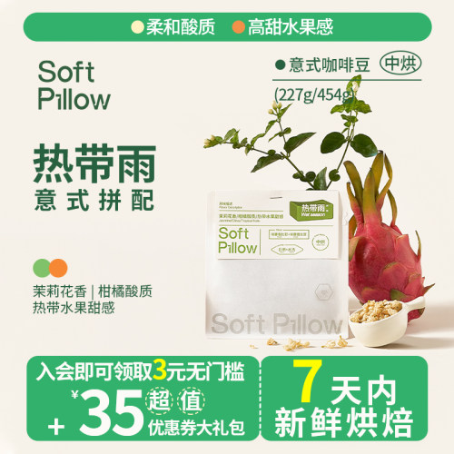 SOFTPILLOW中烘耶加雪菲咖啡豆